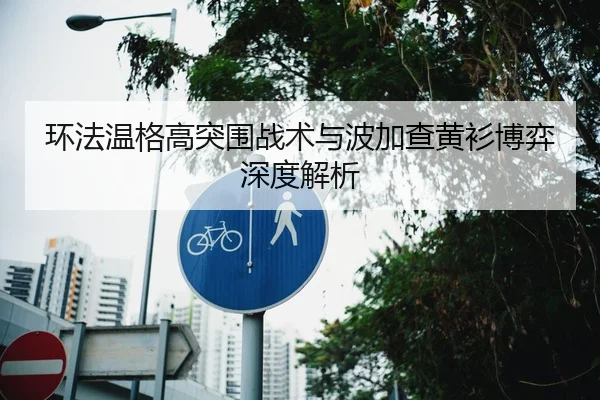 环法温格高突围战术与波加查黄衫博弈深度解析