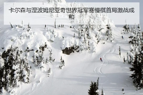 ka-er-sen-yu-nie-bo-mu-ni-ya-qi-shi-jie-guan-jun-sai-man-qi-shou-ju-ji-zhan-cheng-he-3-482.jpg